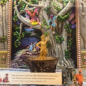 Meet your Posher, Gautam